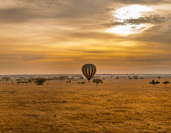 serengeti_plains_balloon