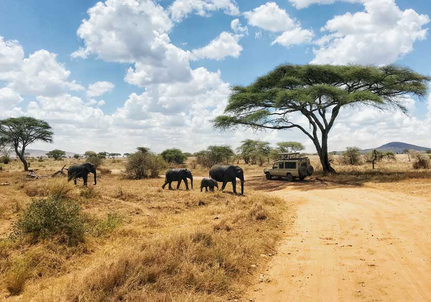 Classic 8 Days Journey to Tanzania Safari