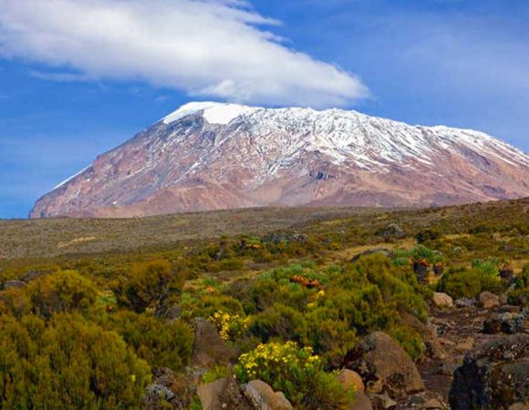 Kilimanjaro Climb Marangu Route - 6 Days