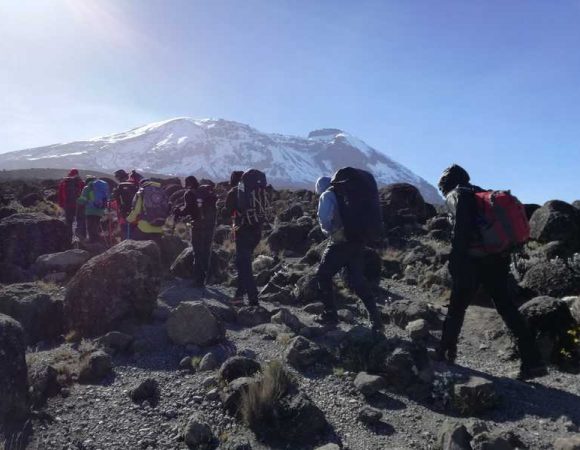 hikers-climbing-mount-kilimanjaro-1229