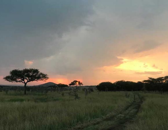 sunset-serengeti-ngorongoro-crater
