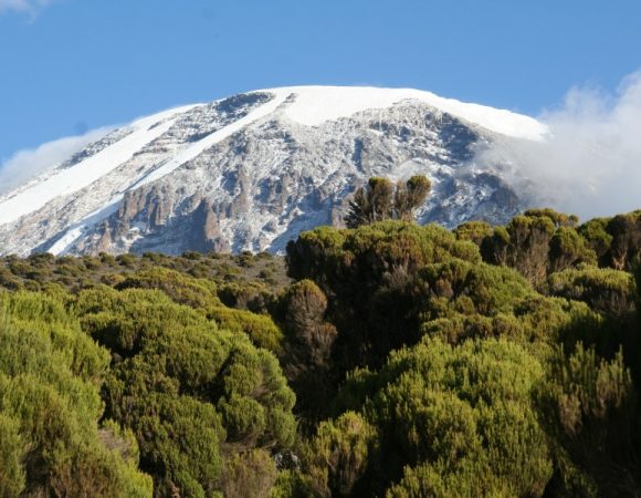 1564486359-1564486354-1564486276-great-views-of-mount-kilimanjaro