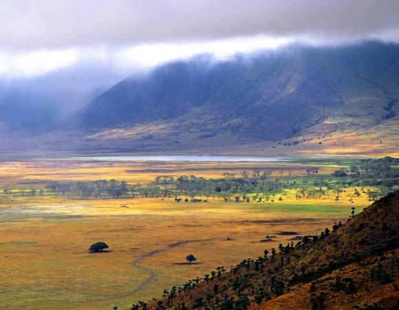 tanzania-ngorongoro-crater