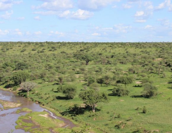 taste-of-africa-tarangire-river-with-green-landscape
