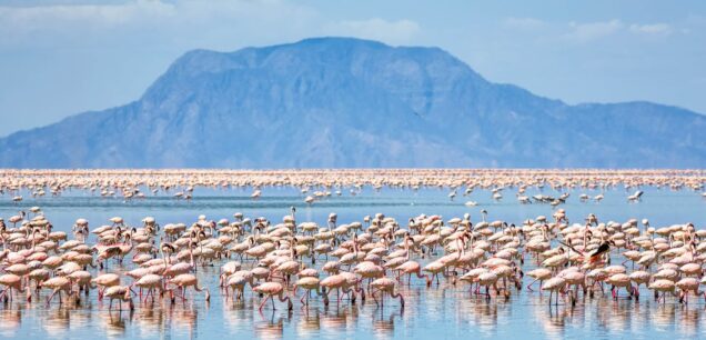 Lake Natron