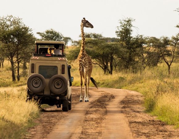 lake manyara girafe-serengeti african tours