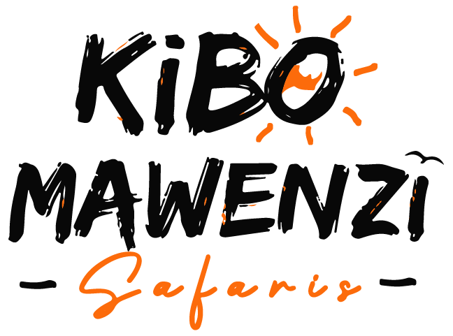 Kibo Mawenzi Safaris