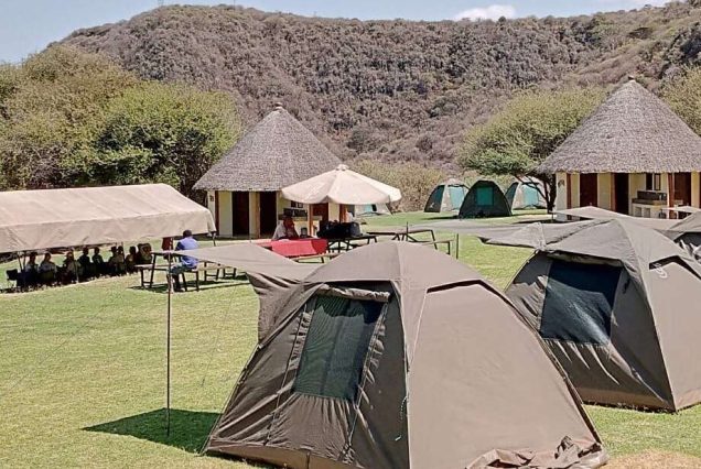 4 Days Tanzania Budget Camping Wilderness Safari