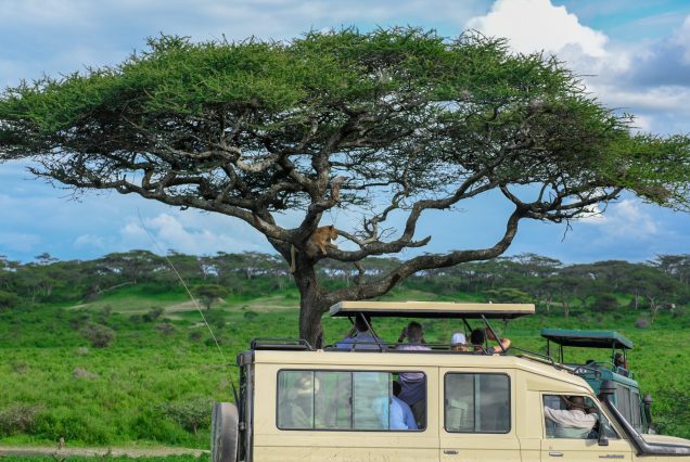 9 Day Extraordinary Mid-Range Tanzania safari adventure