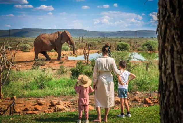 7 Days Luxury Safari Escape to Serengeti, Ngorongoro, Tarangire & Manyara.