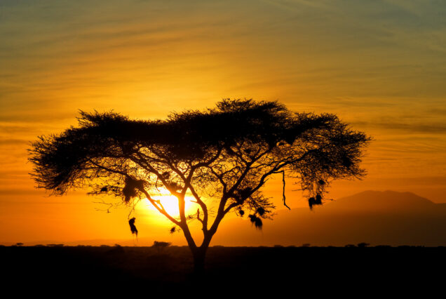 4 Day Northern Tanzania Mid-Range Safari
