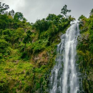 Materuni Waterfalls & Coffee Tour