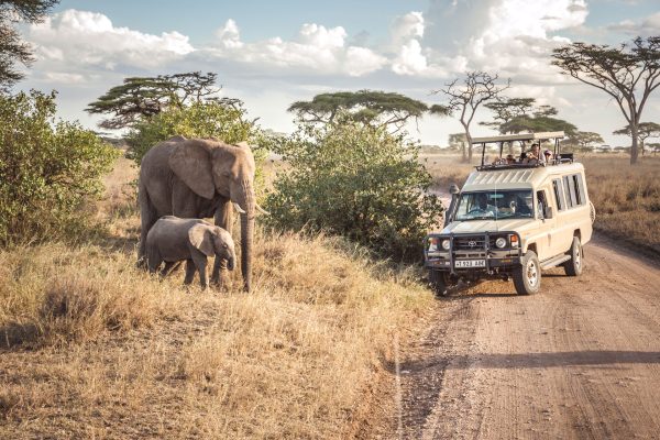 Serengeti-National-Park-Safaris