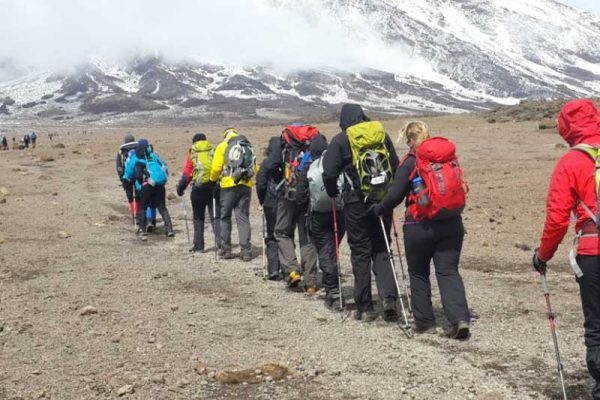 rongai-route-kilimanjaro-climb