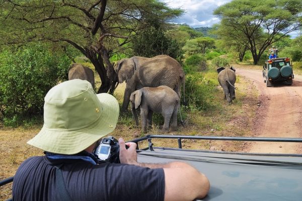 Tourists,On,Game,Drive,Taking,Pictures,Of,Elephants,In,Lake